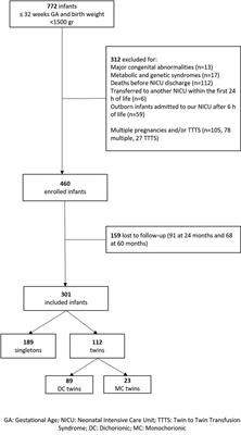 To be born twin: effects on long-term neurodevelopment of very preterm infants—a cohort study